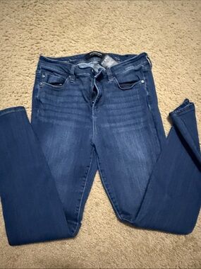 Liverpool Jeans Company Indigo Skinny Jeans